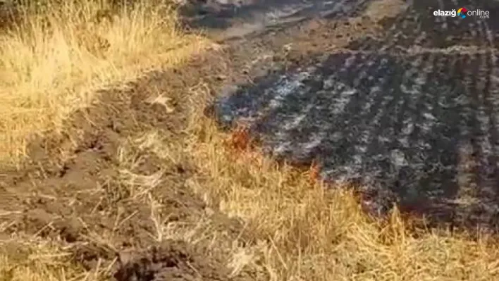 Elazığ'da trafodan kaynaklanan yangın hızla söndürüldü