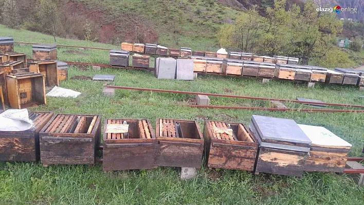 Tunceli'de Fırtına Arı Yetiştiricilerini Vurdu: Arıcılar TARSİM'e Başvurmaya Davet Edildi!