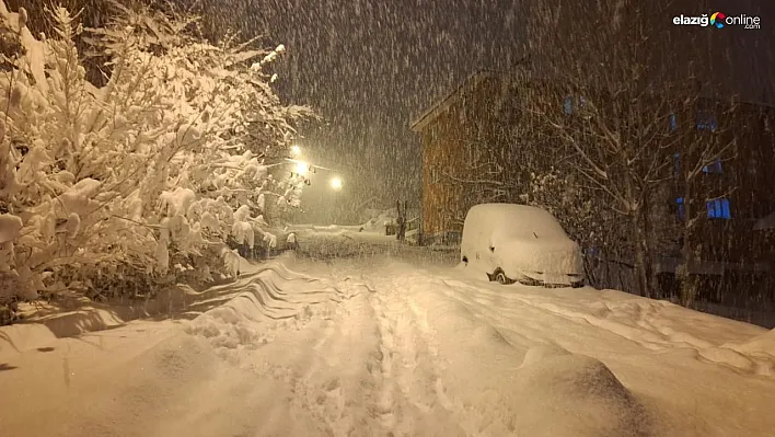 Tunceli'de 3 ilçede eğitime ara verildi