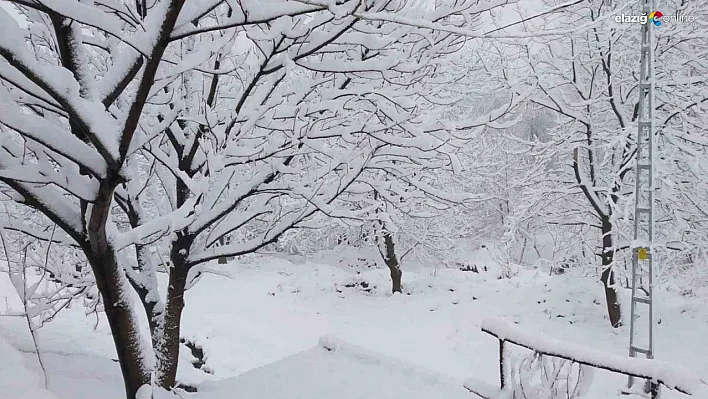 Tunceli'de 8 Nisan'da 20 santimlik kar sürprizi