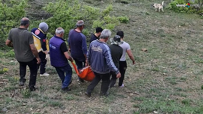 Tunceli'de ayının saldırısına uğrayan adam yaralandı