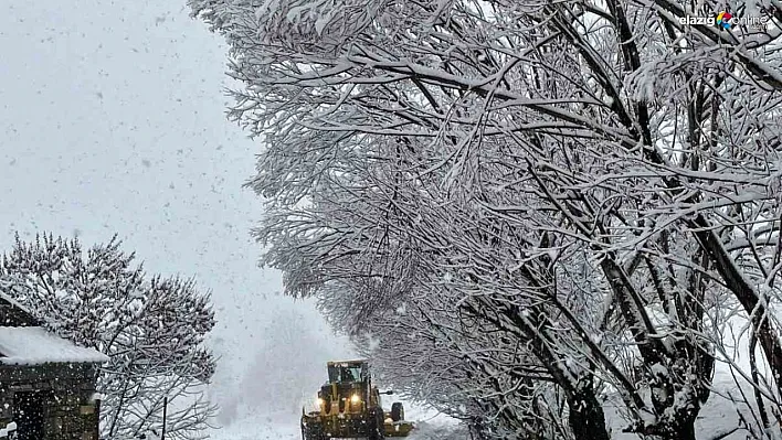 Tunceli'de beyaz esaret: 222 köy yolu kapandı