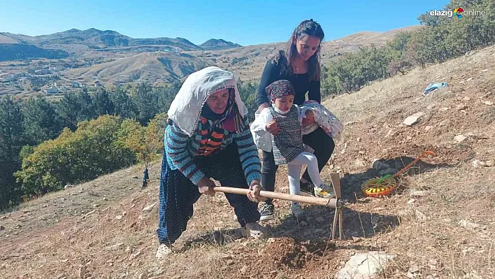 Tunceli'de bin meşe palamudu toprakla buluşturuldu