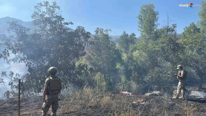 Tunceli'de çıkan örtü yangın söndürüldü