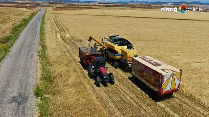 Tunceli'de hasadına başlanan arpa, çiftçinin yüzünü güldürdü