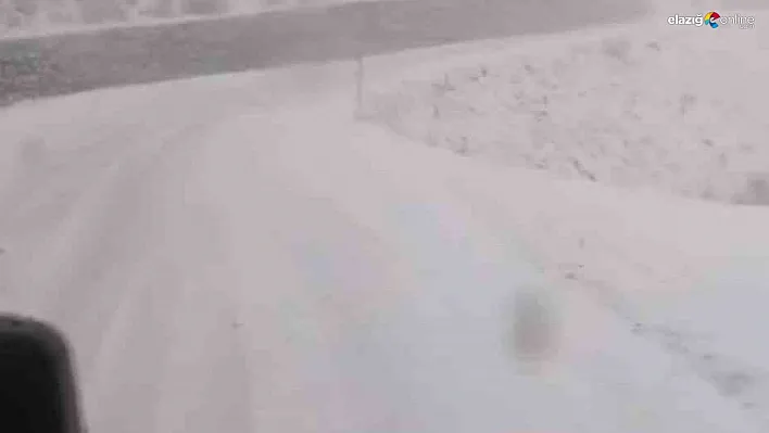 Tunceli'de, kar yağar yağmaz mücadele başladı