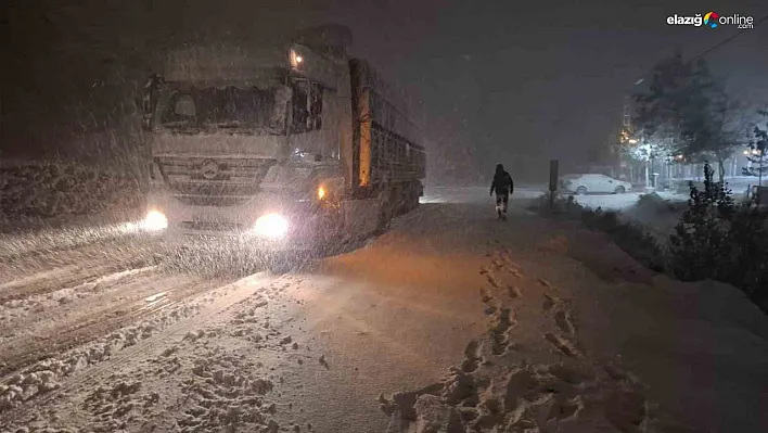 Tunceli'de kar yağışı