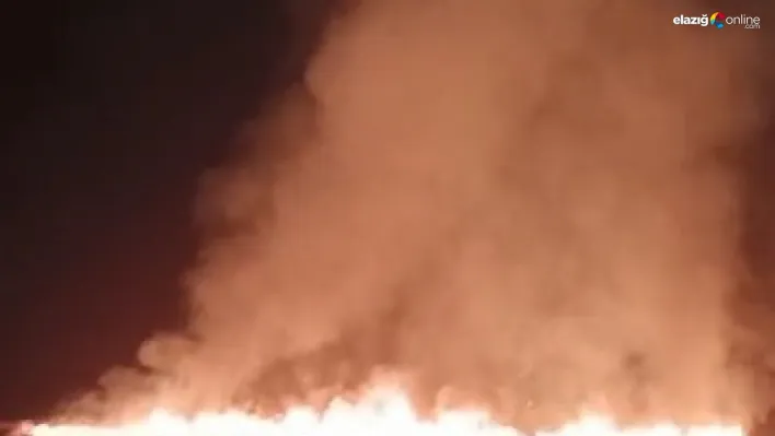 Tunceli'de korkutan yangın! 100 dönümlük ekili alan zarar gördü