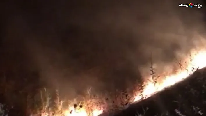 Tunceli'de korkutan yangın