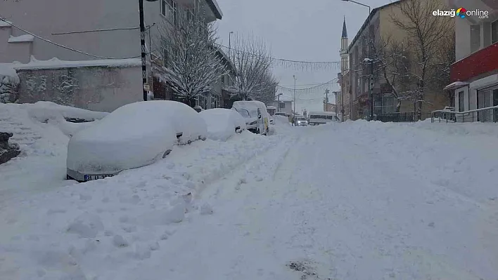 Tunceli'de köy yolları kapandı, okullar tatil edildi