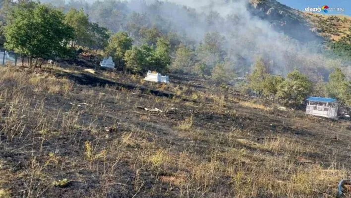 Tunceli'de mezarlıkta başlayan yangın ormana sıçradı