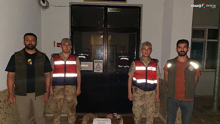 Tunceli'de salep soğanı toplayan 2 kişiye 220 bin lira ceza kesildi