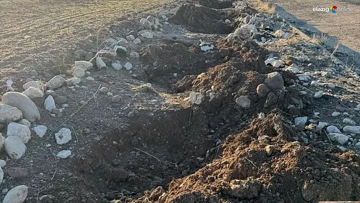 Tunceli'de yol kenarında dikili fidanlar çalındı, belediye başkanı tepki gösterdi