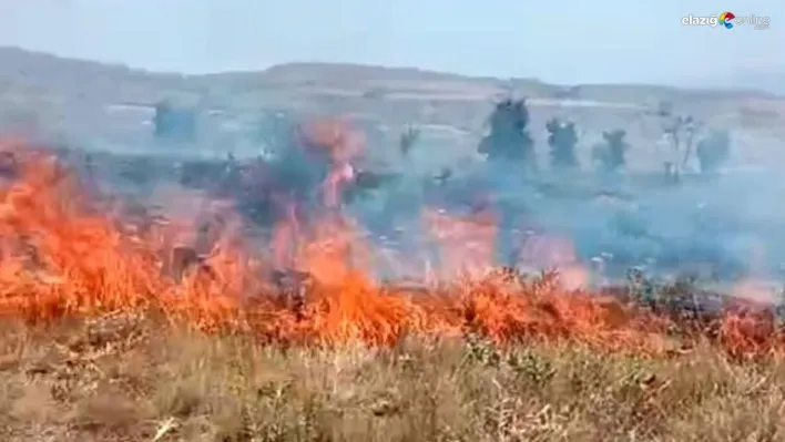 Tunceli'deki arazi yangını söndürüldü