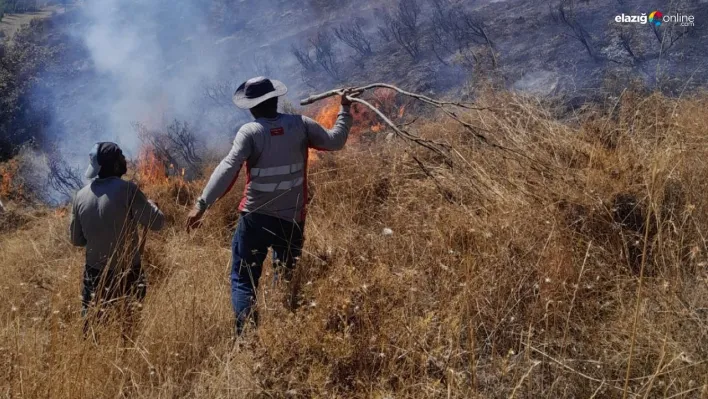 Tunceli'deki yangın ormanlık alana sıçramadan söndürüldü