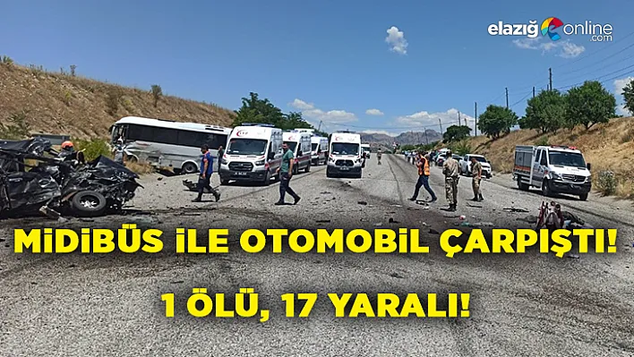 Tunceli-Elazığ Karayolu'nda Feci Kaza!