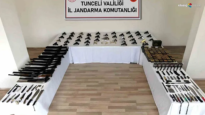 Tunceli merkezli 31 ilde silah kaçakçılarına operasyon: 60 gözaltı