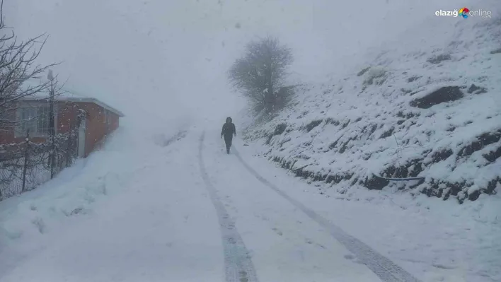 Tunceli'nin yüksek kesimlerinde kar yağışı etkili olmaya başladı