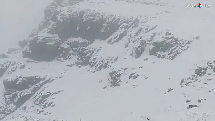 Tuncelili yaylacılar Erzurum'da kara yakalandı
