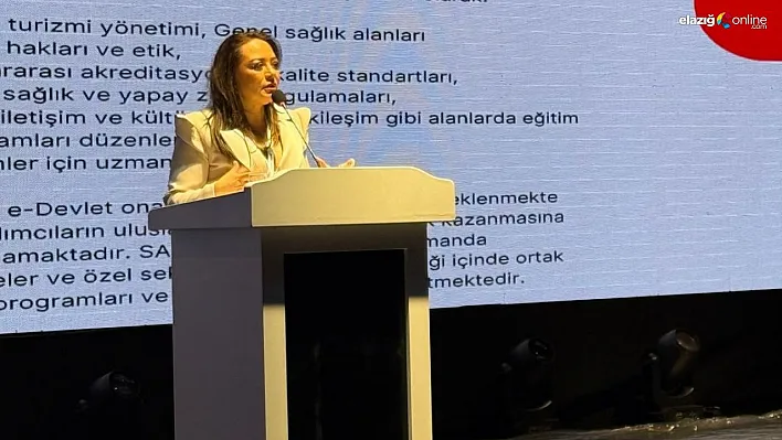 Türkiye'nin sağlık turizmi vizyonu Türk-Arap Ekonomik Zirvesi'nde anlatıldı