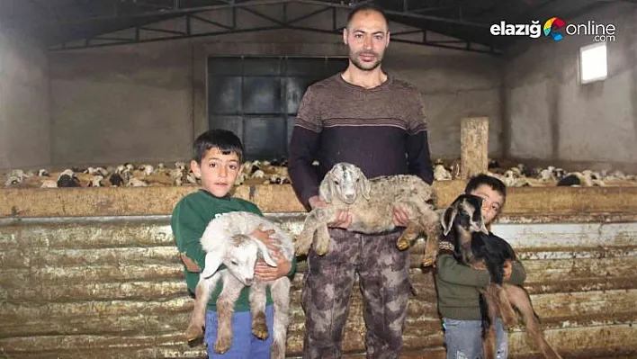 Bir tane beklerken, 3 tane oldu