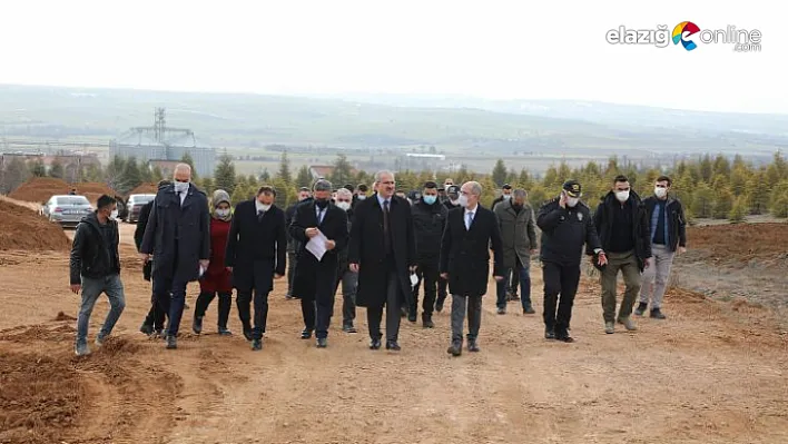 Vali Toraman zarar gören ağaçlar için kayıtsız kalmadı