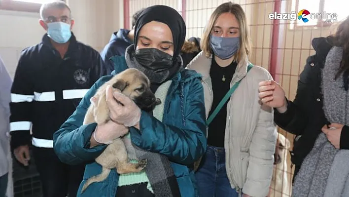 Veteriner Fakültesi'nden Hayvan Hastanesine ziyaret