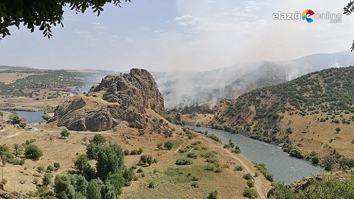 Yaklaşık 150 dönüm ormanlık alan zarar gördü