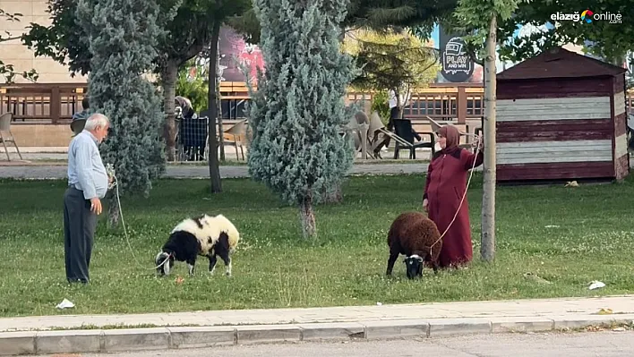 Elazığ'da Gören Dönüp Bir Daha Baktı: Yaşlı Çiftin Sıcacık Anları Yürek Isıttı!