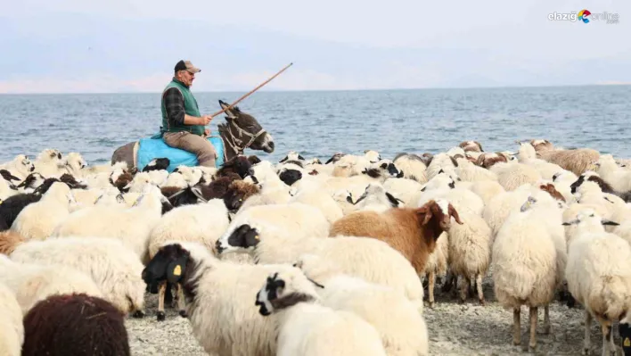 Yaylacıların hayatı, belgeselleri aratmadı