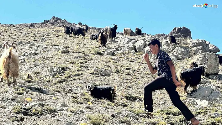 Arıcaklı Muhammet'in kazandığı lise belli oldu!
