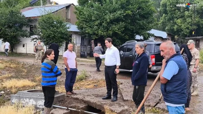 Kaymakam Başar'dan, zarar gören alanlara inceleme