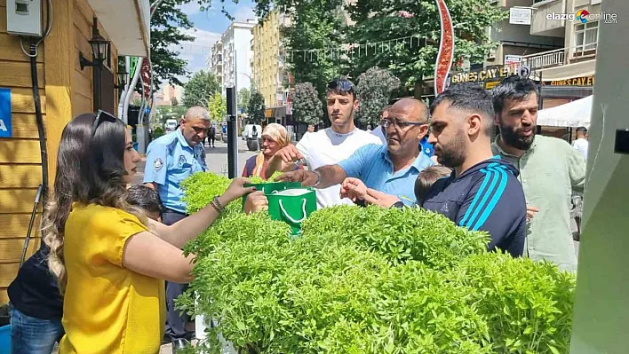 Yenişehir'de Çevre Koruma Haftası'nda vatandaşa fesleğen dağıtıldı