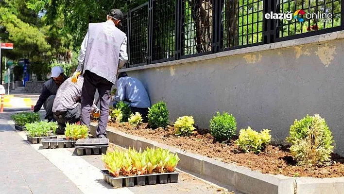 Yenişehir'de park ve bahçelerde bakım