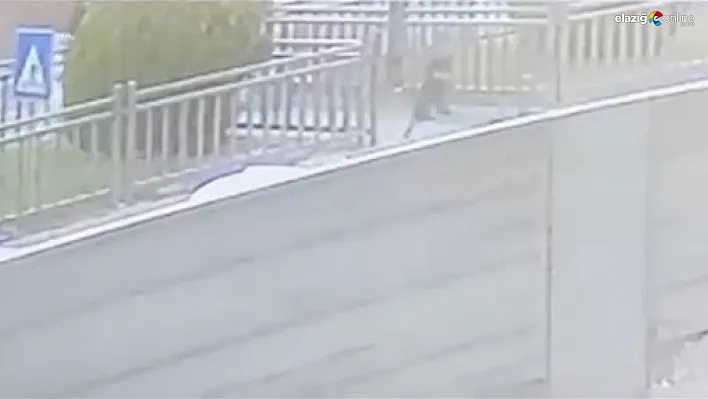 Yazıkonak'ta Yürekleri Ağza Getiren Kaza: Küçük Çocuk Son Anda Kurtuldu!