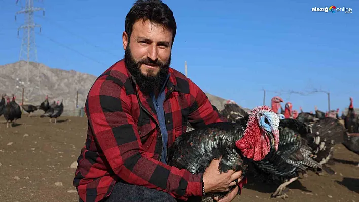 İşte Almanya'dan Elazığ'a uzanan bir girişimcilik hikayesi