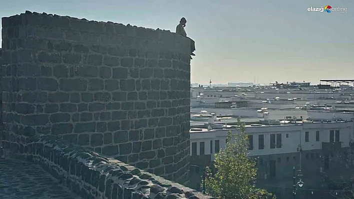 Zabıta ekipleri intihar girişiminde bulunan kadını ikna etti