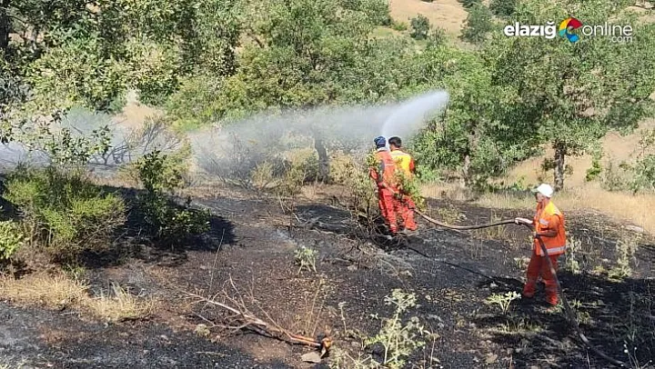 Bingöl'de orman yangını büyümeden söndürüldü