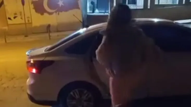 Elazığ'da Tartışma Öfkeye Dönüştü: Kadının Arabaya Saldırısı Cep Telefonuna Yansıdı