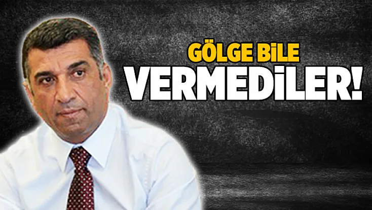 Gölge bile vermediler!