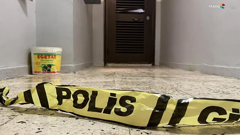 Annesi ve ağabeyini öldüren şahısla ilgili şok gelişme!