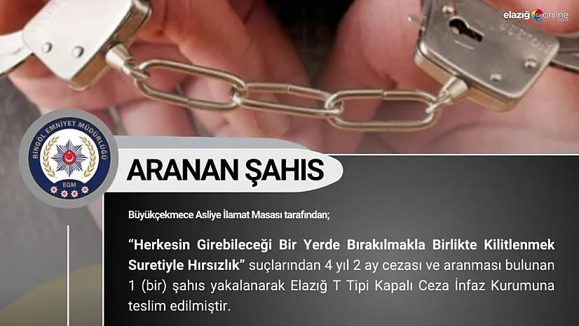Bingöl'de arama kaydı bulunan 4 kişi yakalandı