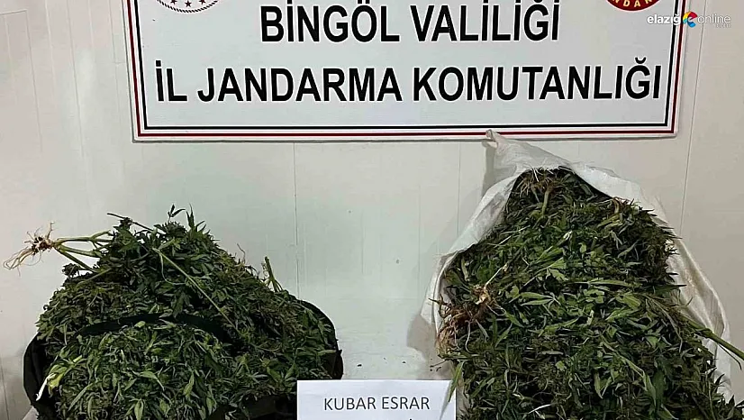 Genç İlçesinde Zehir Tacirlerine Darbe: 17 Kilo Esrar Ele Geçirildi, 4 Tutuklama!