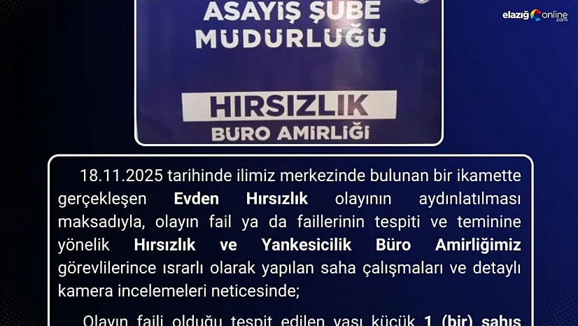 Bingöl'de hırsızlık olayının faili tutuklandı