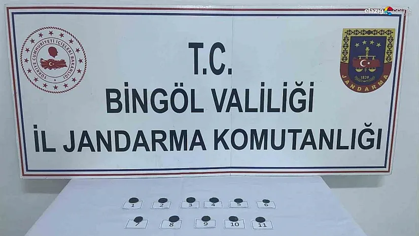 Bingöl'de jandarmanın dikkati tarihi eser kaçakçılığını önledi