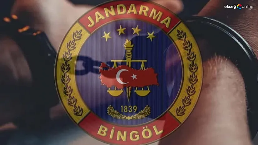 Bingöl'de kesinleşmiş hapis cezası bulunan zanlı yakalandı