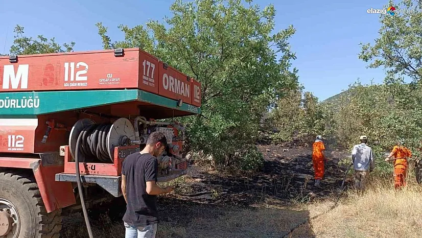 Bingöl'de orman yangını büyümeden söndürüldü