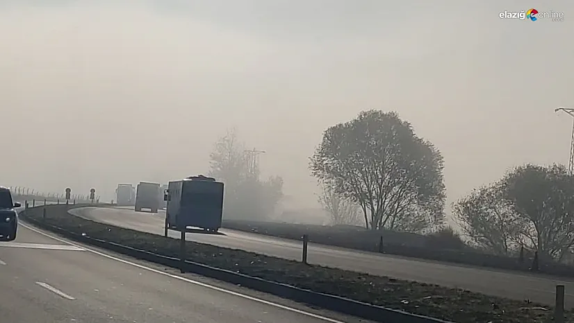 Bingöl'de sis etkili oldu