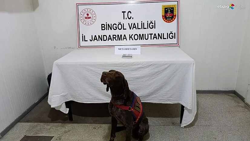 Bingöl'de uyuşturucuyla mücadele: 2 gözaltı