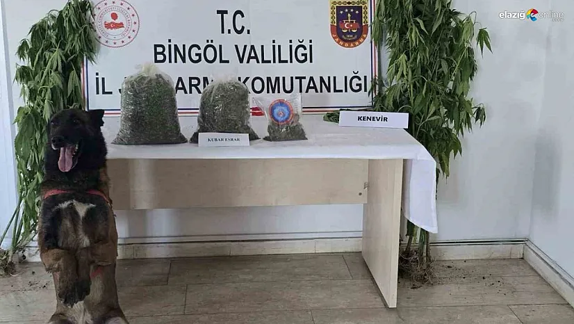 Bingöl'de uyuşturucuyla mücadele